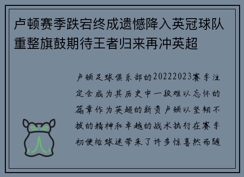 卢顿赛季跌宕终成遗憾降入英冠球队重整旗鼓期待王者归来再冲英超
